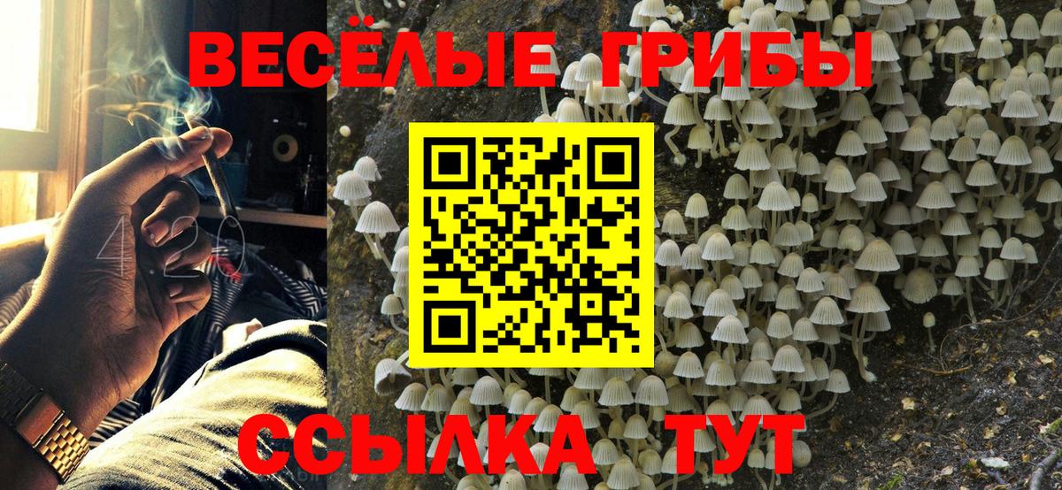 Галлюциногенные грибы GOLDEN TEACHER Химки